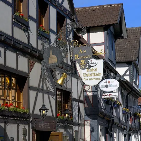 Hotell Goldflair Am Rathaus 3*